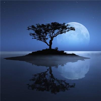 乐发lv彩票app下载安装